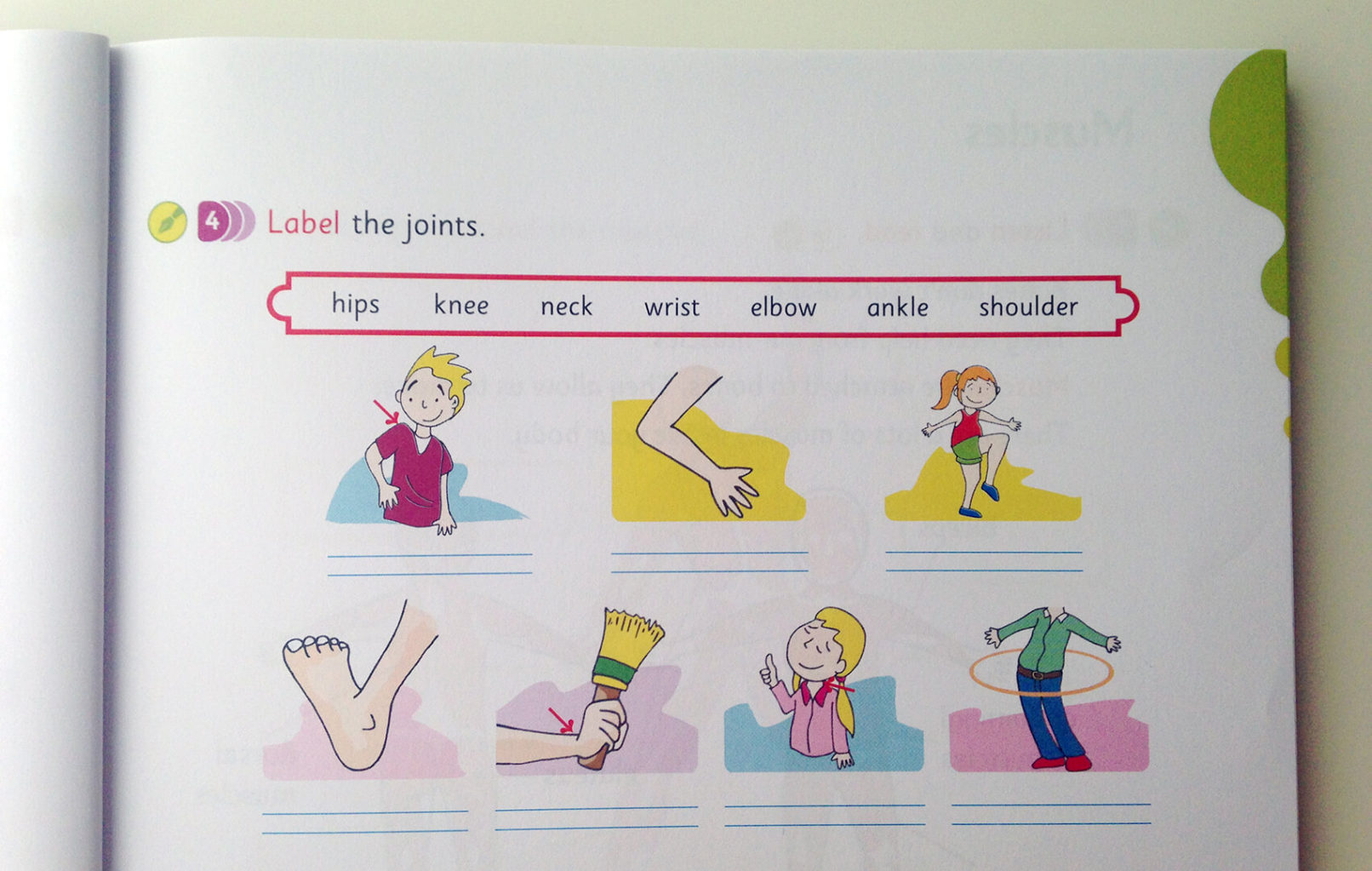 label_the_joints